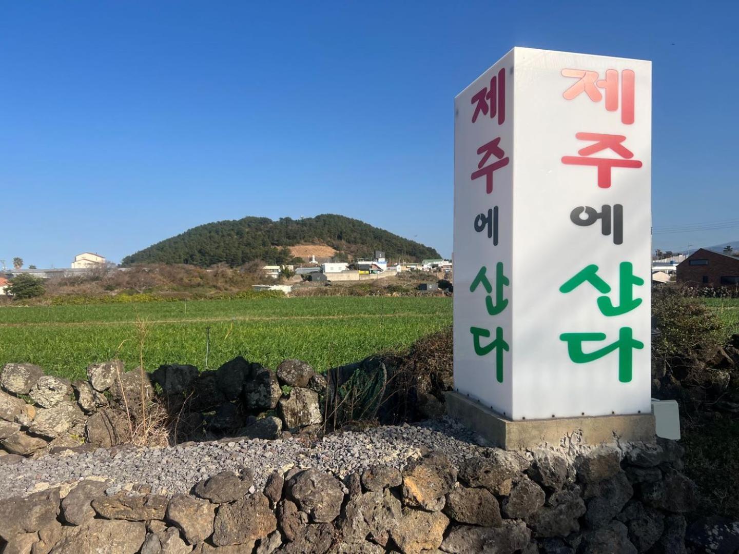 Living In Jeju Island Apartment Exterior photo